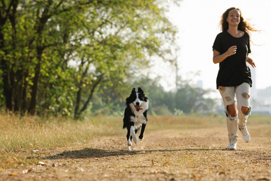 SPAS ZA DUŠU I TELO: Vlasnici pasa su zdraviji, evo zašto