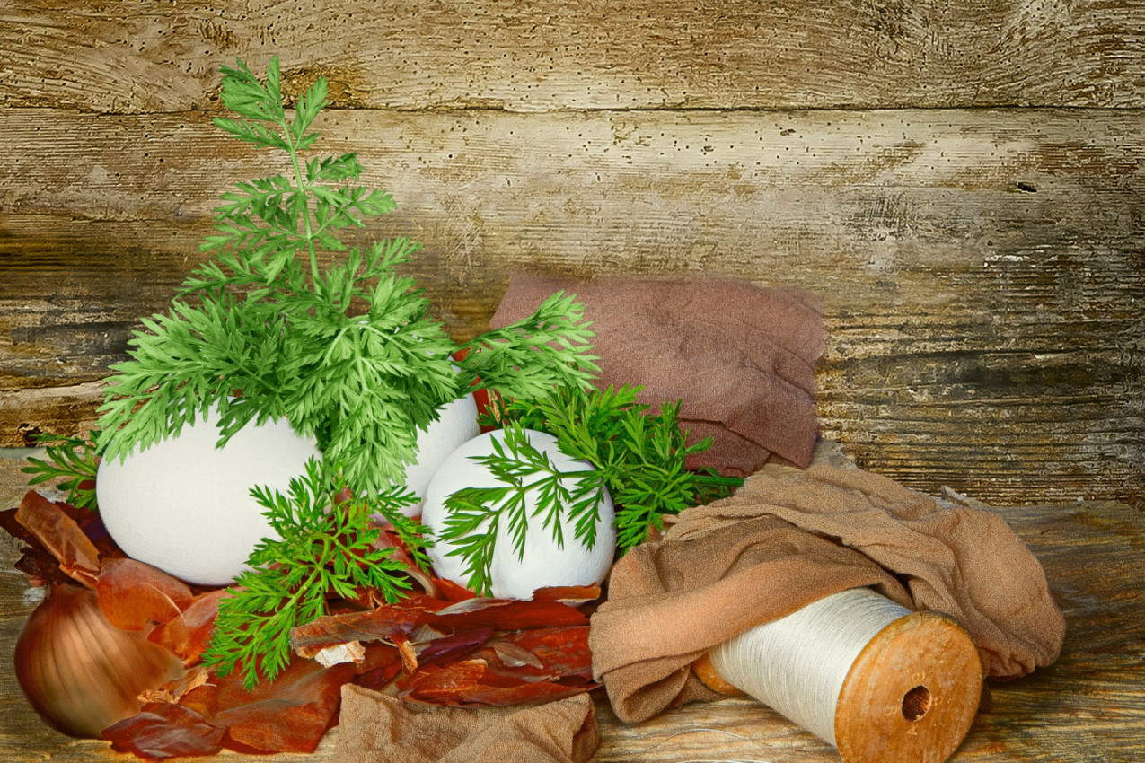 AKO STE BOLESNI OVO ĆE VAM POMOĆI: Prespavajte sa ovim povrćem u ČARAPAMA!