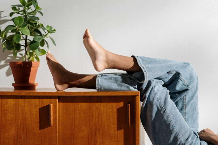 OPORAVITE SOBNO CVEĆE: Ako biljke počnu da posustaju, uz OVAJ trik učinićete ga bujnim!