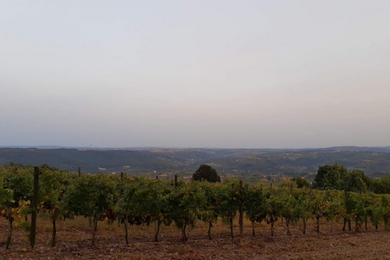 JEFTINI IZLETI U SRBIJI! Destinacije koje će vas oduševiti i to za male pare!