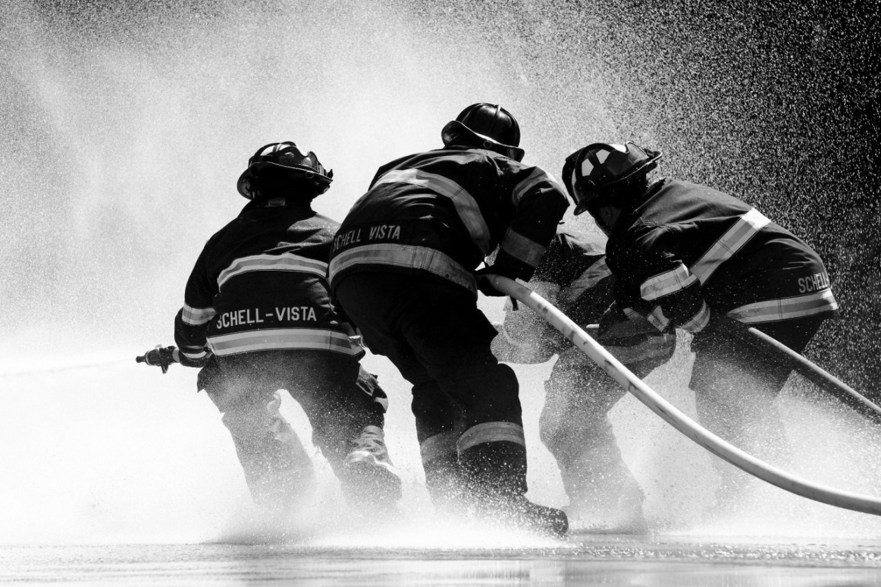 MAČKE I VATROGASCI: Ljubav koja traje vekovima!