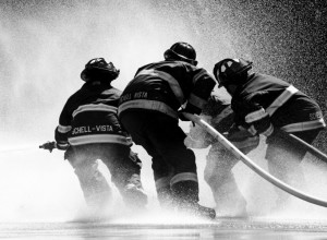 MAČKE I VATROGASCI: Ljubav koja traje vekovima!