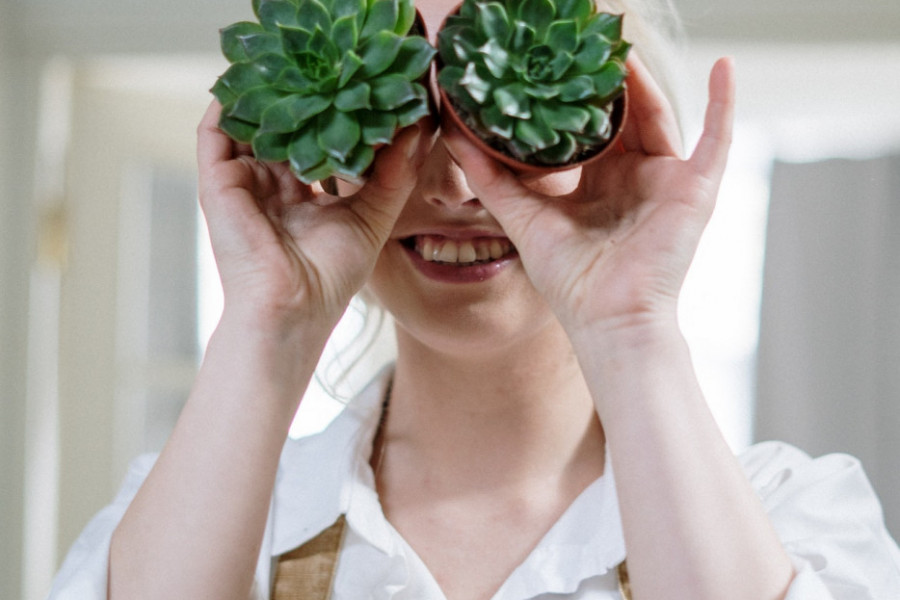 A ŠTA MOŽE ZIMA MENI: OVIH 14 sobnih biljaka će krasiti vaš stan tokom hladnih meseci