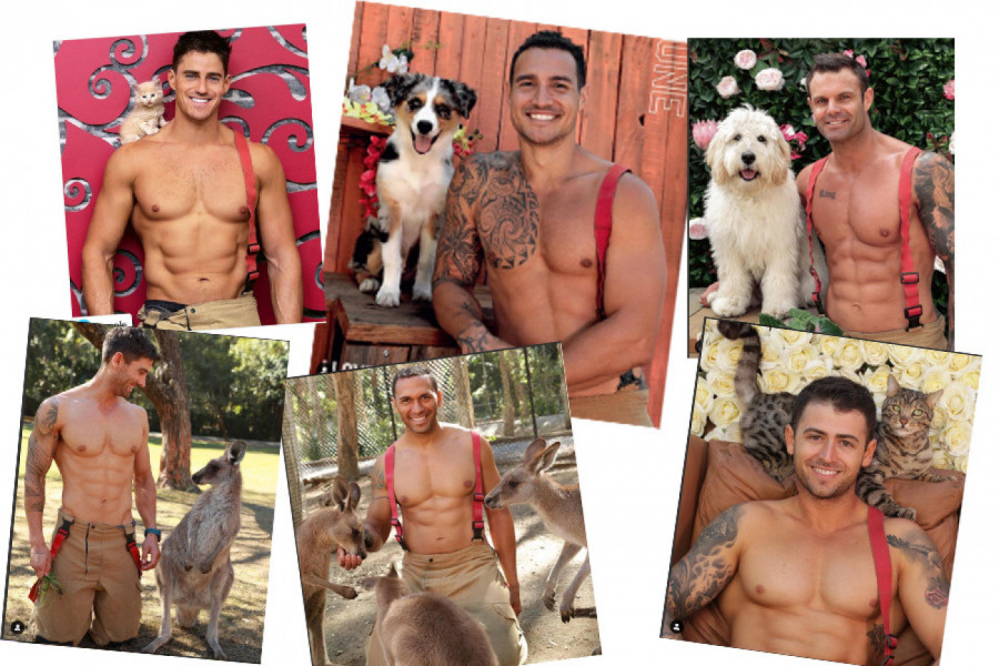 VRELI VATROGASCI VELIKOG SRCA: Već 29 godina za redom su melem za oči i spas za mnoge ugrožene životinje