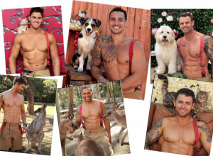 VRELI VATROGASCI VELIKOG SRCA: Već 29 godina za redom su melem za oči i spas za mnoge ugrožene životinje