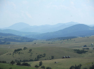 LEPOTAN MEĐU GOROSTASIMA: Planina Zlatibor - za nekoga sve, za svakoga po nešto
