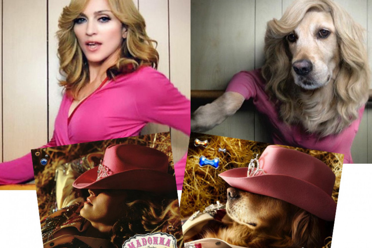 PAS MAKS POKRAO MADONU: Čije fotke su bolje?