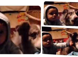 PAS REKAO MAMA: Kuca naljutilla bebu!