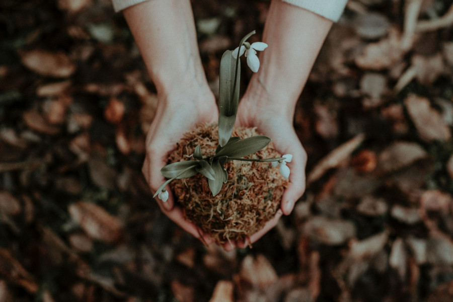 ZASADITE JAJE U BAŠTU! Rezultati će vas oduševiti!