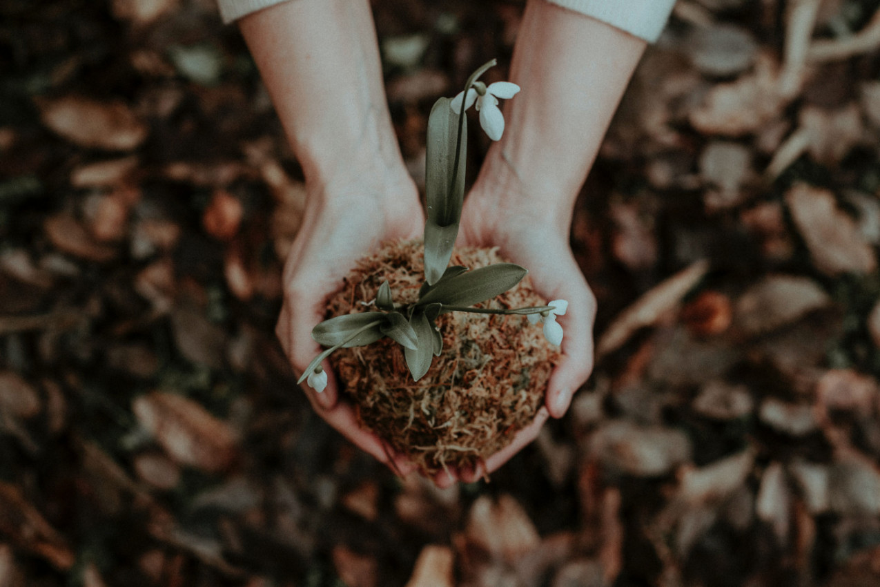 ZASADITE JAJE U BAŠTU! Rezultati će vas oduševiti!