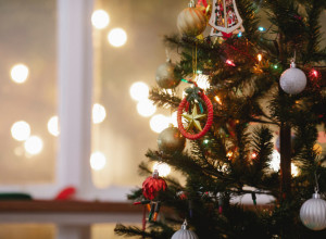 OKITITE JELKU PREMA FENG SHUIJU: Evo kako da vam sreća ne pobegne iz kuće!