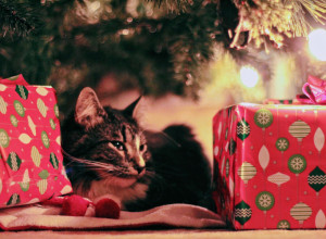 KAKO UKRASITI JELKU AKO IMATE LJUBIMCA?! Ove ideje rešiće vam sve probleme!