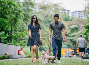 DA LI PREVIŠE ŠETATE SVOG PSA: Da, to je moguće i ovo su znaci da mu nije do izlaska!