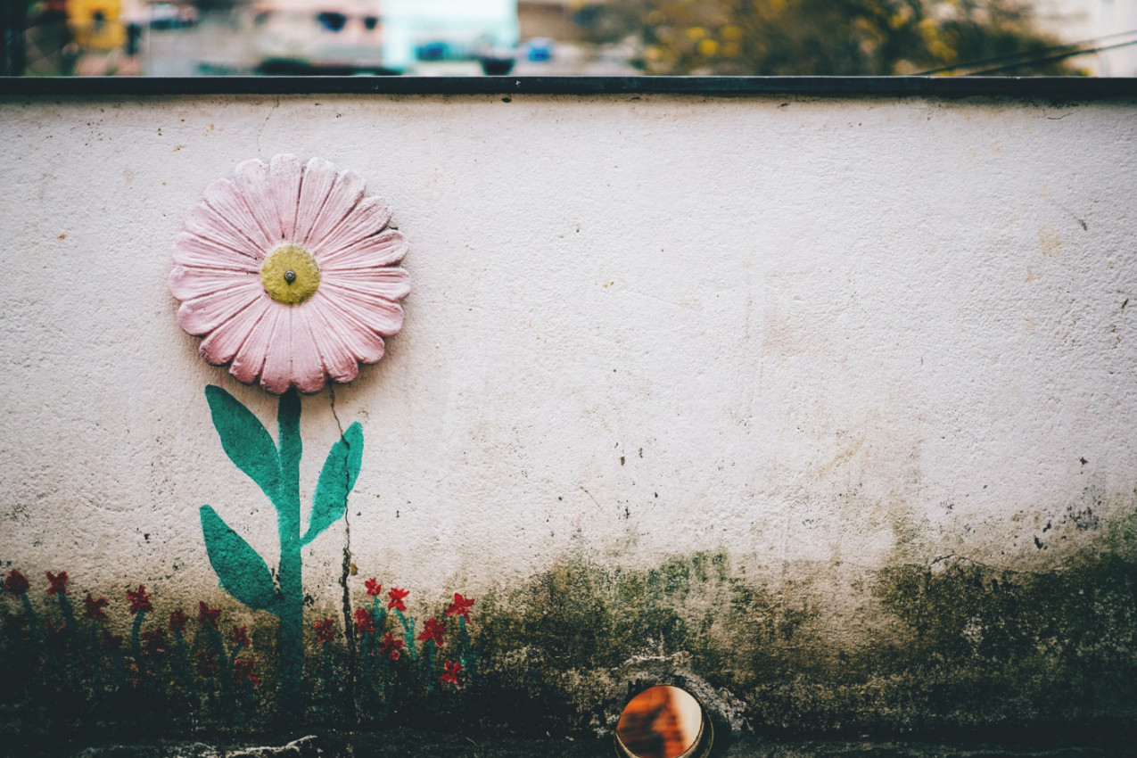 OBRATITE PAŽNJU NA OVO U KUĆI: Kako prepoznati najopasniju buđ u domu?