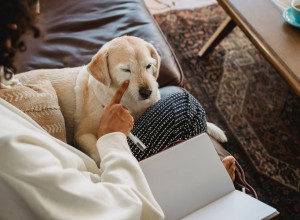 DA LI TREBA IMATI PSA U KANCELARIJI?! Kuce zaista popravljaju raspoloženje!