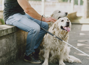 TEST ZA PSA POMOĆNIKA: Evo kako da znate da će vas ljubimac čuvati ZAUVEK!