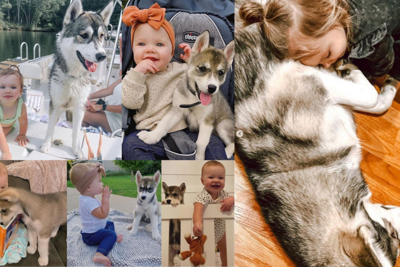 NAJLEPŠA LJUBAV IKADA: Ovakvo iskreno prijateljstvo morate da omogućite svojoj deci!