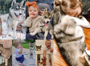 NAJLEPŠA LJUBAV IKADA: Ovakvo iskreno prijateljstvo morate da omogućite svojoj deci!