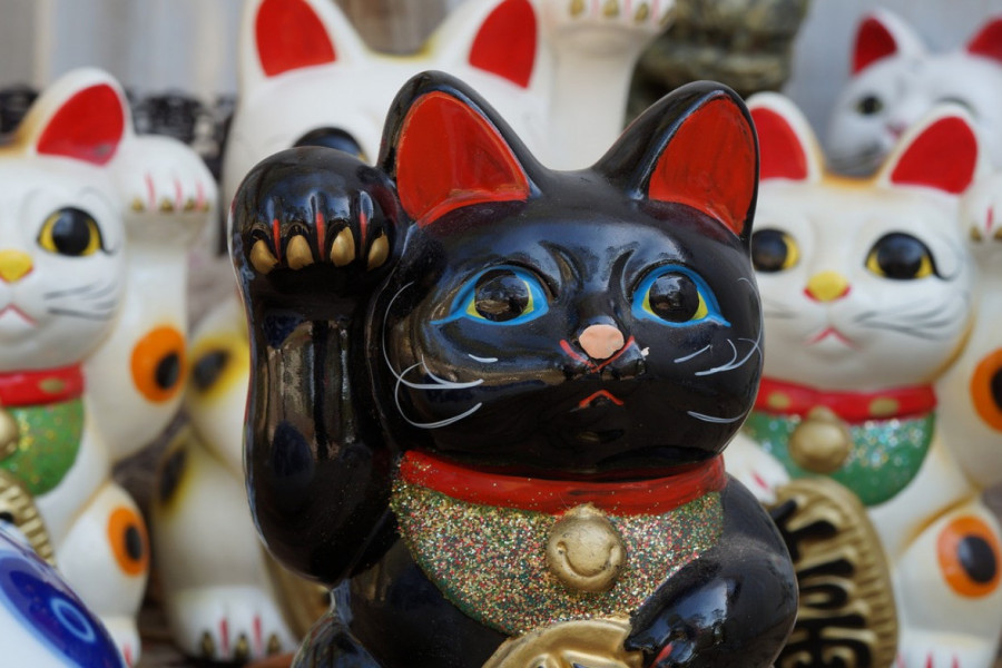 DONEĆE VAM SREĆU: Talične životinje po Feng Šuiju!