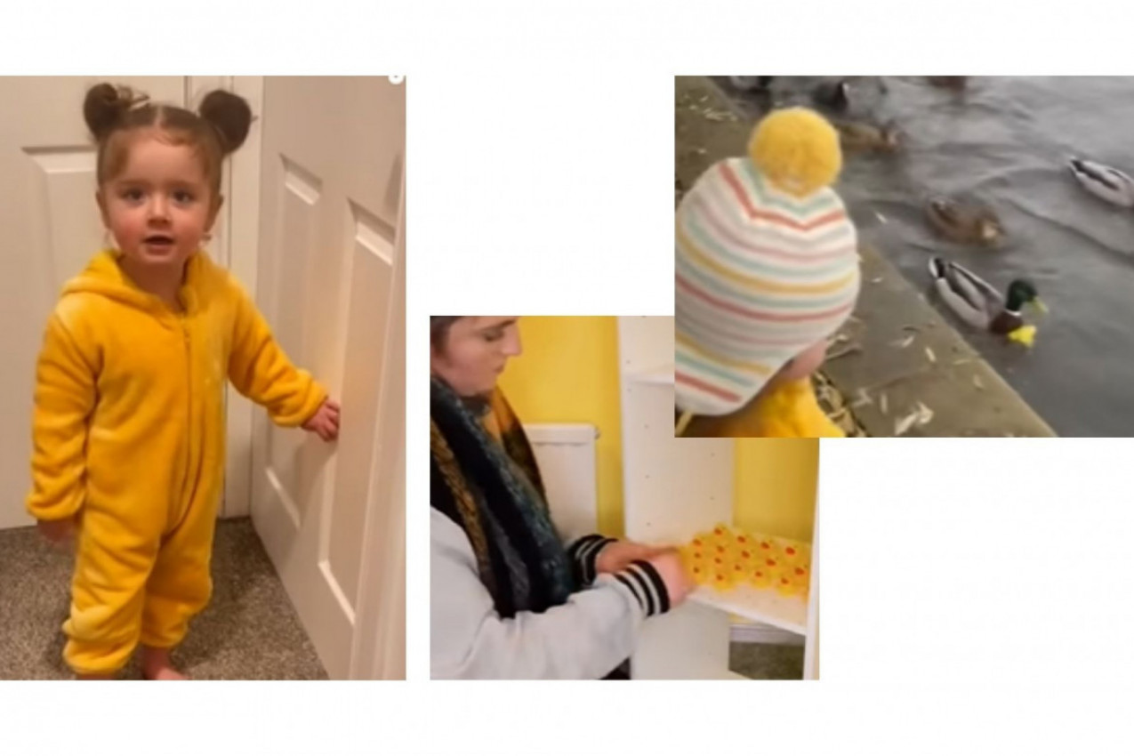 DEVOJČICA VOLI PATKE: Mama pokazala iznenađenje koje morate da priuštite detetu!