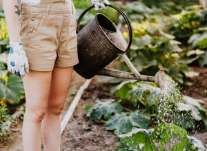 NI JOGA NI MEDITACIJA NE MOGU DA ZAMENE BAŠTOVANSTVO: Ovo je najbolji način da otkrijete mir i pravu sreću!