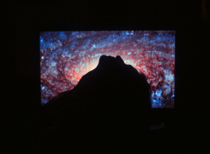 KAKO SU SE OSTVARILE MOJE ŽELJE? Žena otkrila šta da radite ako vam se životna pitanja ne rešavaju!