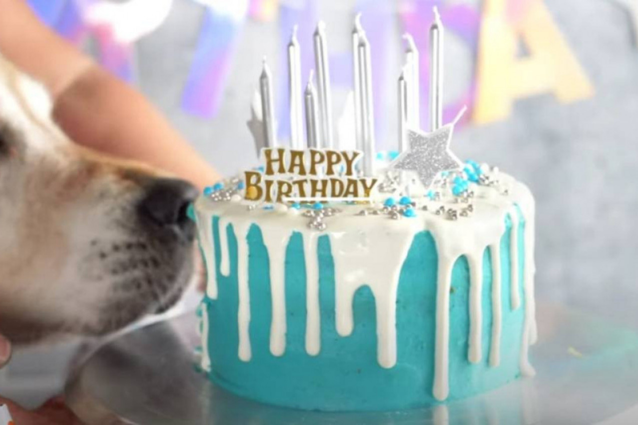 EKSTRAVAGANTNI PSEĆI ROĐENDAN: Potrošeno preko 13.000 evra i unajmljeno 520 dronova