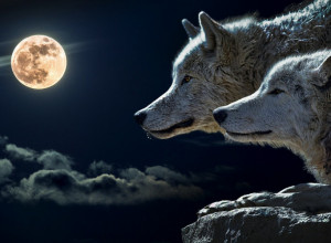 PRVI PUN MESEC OVE GODINE BIĆE PUN EMOCIJA: Posebno će uticati na četiri horoskopska znaka