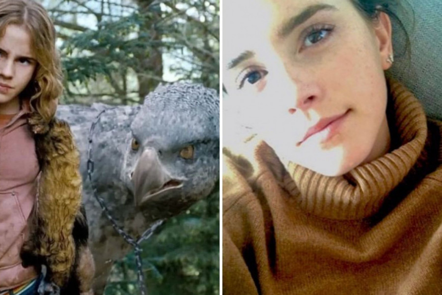 FANOVI HARI POTERA OBOŽAVAJU OVU SCENU: Glumica Ema Votson volela bi da je nikada nije snimila!