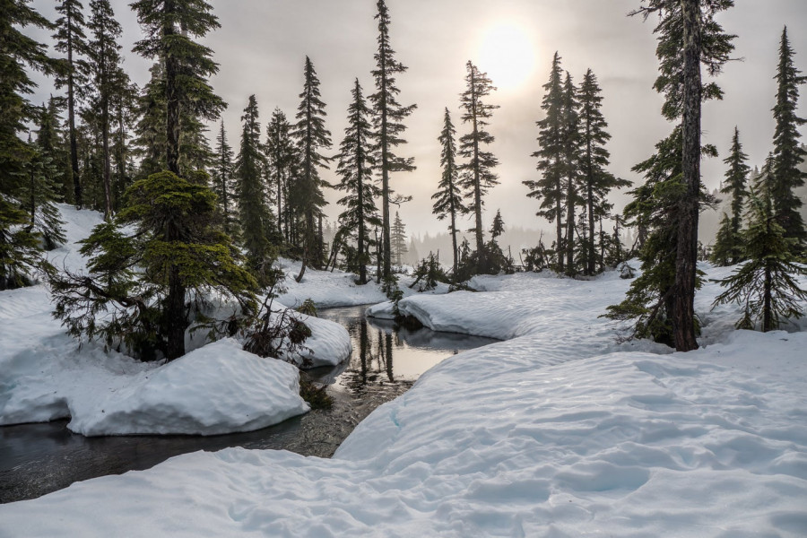 Teško je utvrditi da li je priroda lepša zimi ili leti