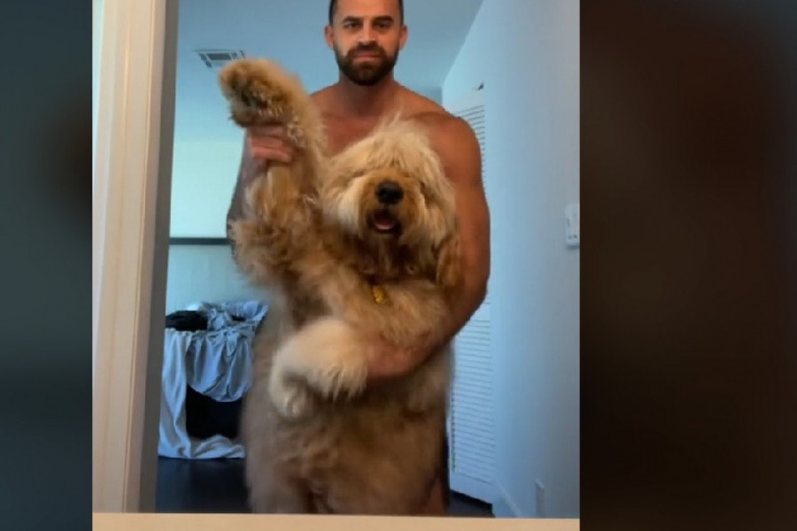 MISLI DA JE BEBA: Pogledajte kako se ponaša ovaj džinovski kucan!