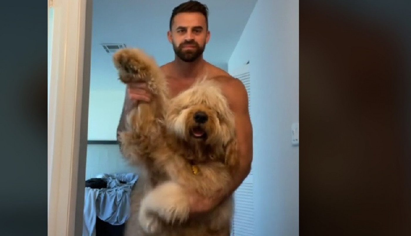 MISLI DA JE BEBA: Pogledajte kako se ponaša ovaj džinovski kucan!