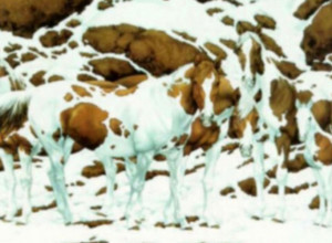 DA LI STE GENIJALNI? 90% ljudi ne može da odgovori tačno!