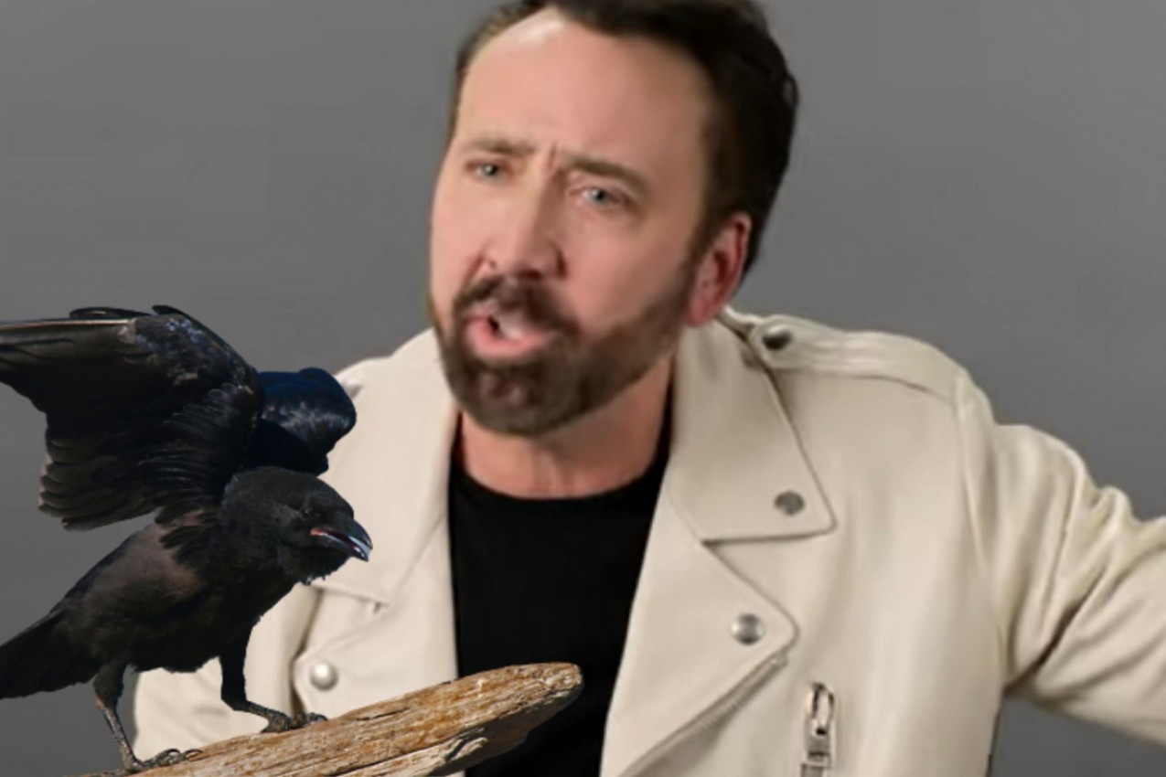 NIKOLAS KEJDŽ ŽIVI SA VRANOM: Ona ga vređa, a on se smeje!