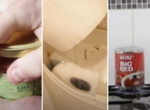 SAVETI ZA LAKŠI ŽIVOT: Ne stavljajte toalet papir u vodokotlić!