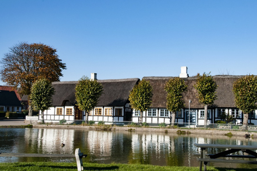 SAMSO, NAJVEĆI PRIRODNI LAVIRINT NA SVETU: Napravljen je od 50.000 stabala i grmova