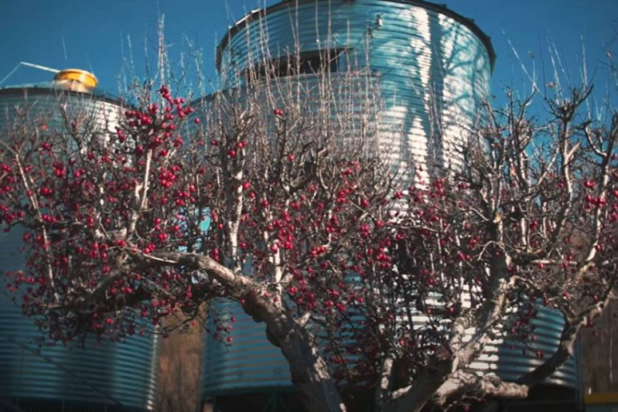 Najneobičniji hoteli na svetu: Od kućica na drvetu do hotela od soli