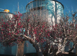 Najneobičniji hoteli na svetu: Od kućica na drvetu do hotela od soli