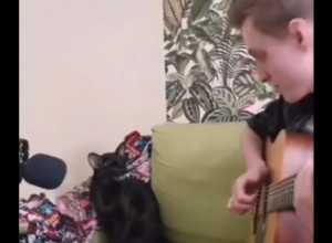 MUZIKALNA MACA: Ovaj mladić ima najboljeg raspevanog ljubimca!