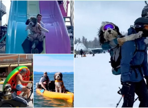 BENDŽI, PAS AVANTURISTA: Skija, vozi se na biciklu, spušta niz tobogan i obilazi ceo svet! (VIDEO)