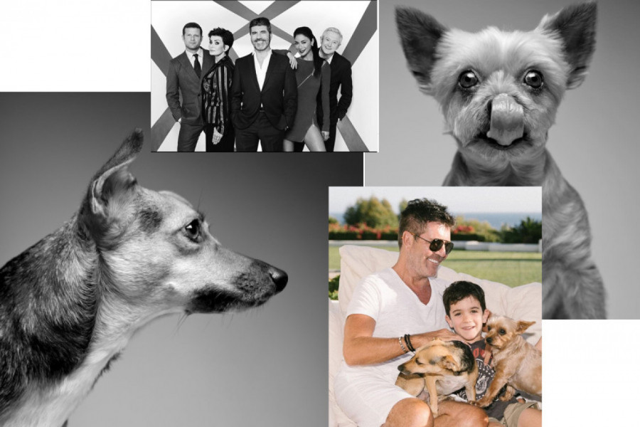 SAJMON SE FOLIRA DA JE SUROV: Svoje vreme i novac posvećuje psima