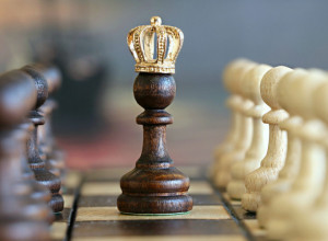 PAMETNI KAO PČELICE: Ova tri znaka Zodijaka su NAJMUDRIJA!