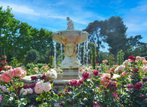 BUDITE SAM SVOJ MAJSTOR: Uredite svoj lični rajski vrt uz minimalne troškove i trud!