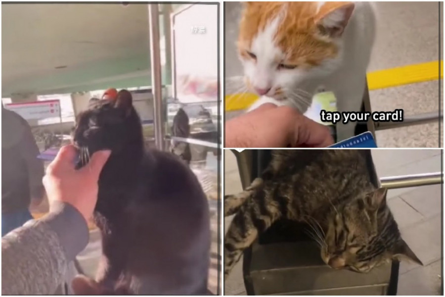 MACE KONTROLORI: Nepotkupljivi čuvari metroa svima traže kartu!