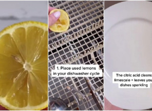 ISKORISTITE LIMUN DA OČISTITE MAŠINU ZA SUDOVE: Sve će da blista bez potrošenog dinara!