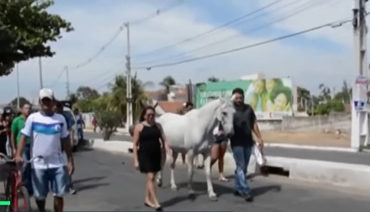 PRIZOR KOJI TERA SUZE NA OČI! Zbog reakcije ovog konja kada je prišao gazdinom kovčegu svi su uglas zaplakali! (VIDEO)