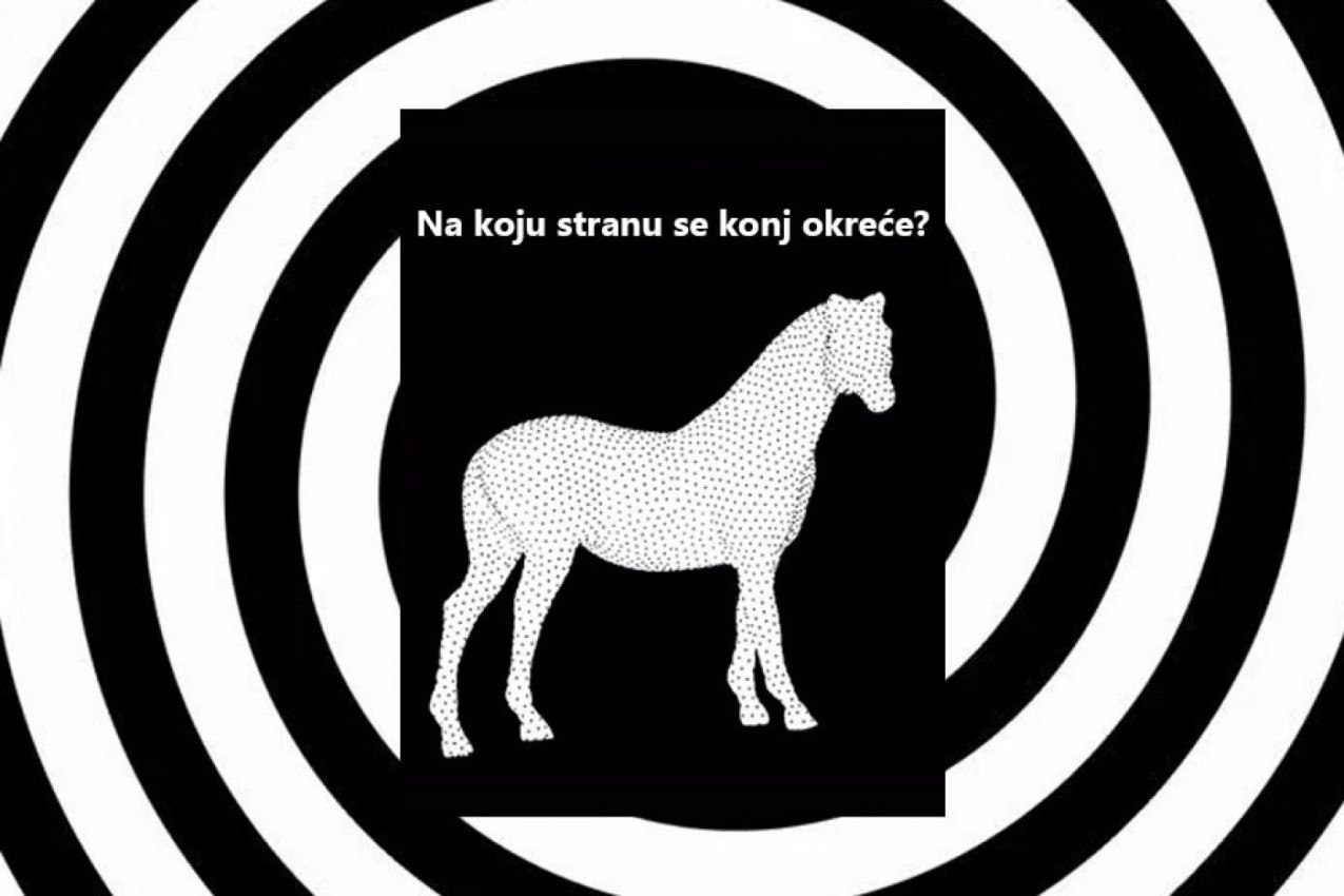 ILUZIJA KOJA JE ZAVRTELA INTERNET: Na koju stranu se okreće konj?