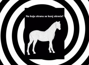 ILUZIJA KOJA JE ZAVRTELA INTERNET: Na koju stranu se okreće konj?