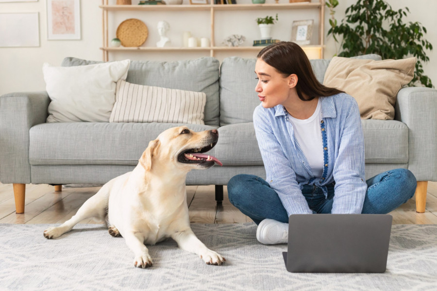 FENG SHUI I KUĆNI LJUBIMCI: Kako vaši mezimci utiču na energiju vašeg doma i kako da im bude udobnije u vašem životnom prostoru?