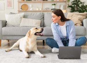 FENG SHUI I KUĆNI LJUBIMCI: Kako vaši mezimci utiču na energiju vašeg doma i kako da im bude udobnije u vašem životnom prostoru?